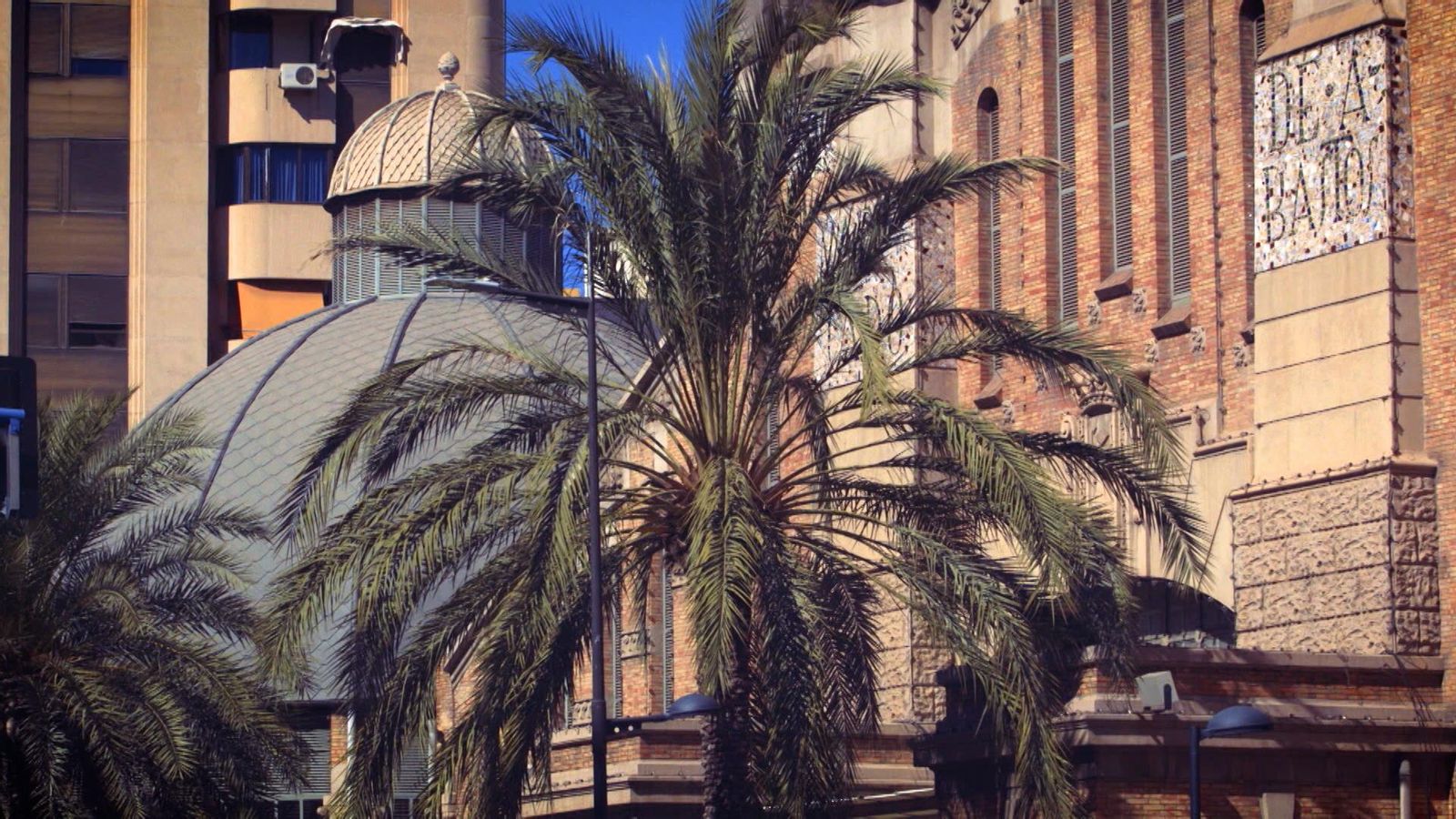 Els nexes de la memòria