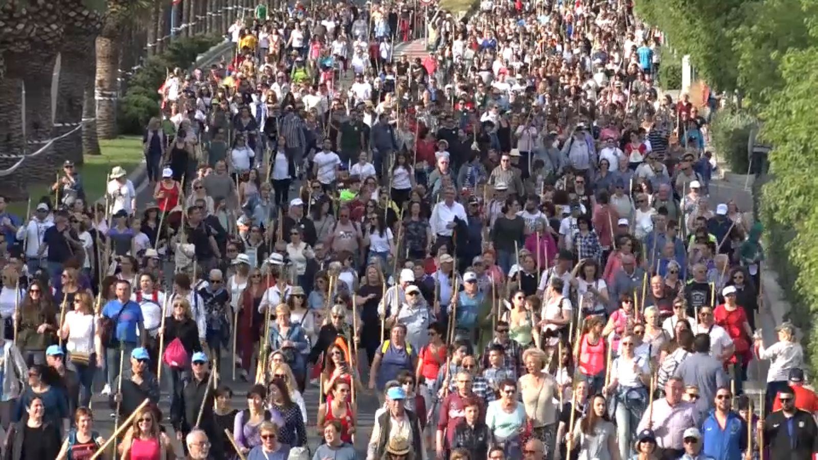 Milers de pelegrins en un dels trams de l'última romeria a la Santa Faç que es va poder celebrar, el 2019
