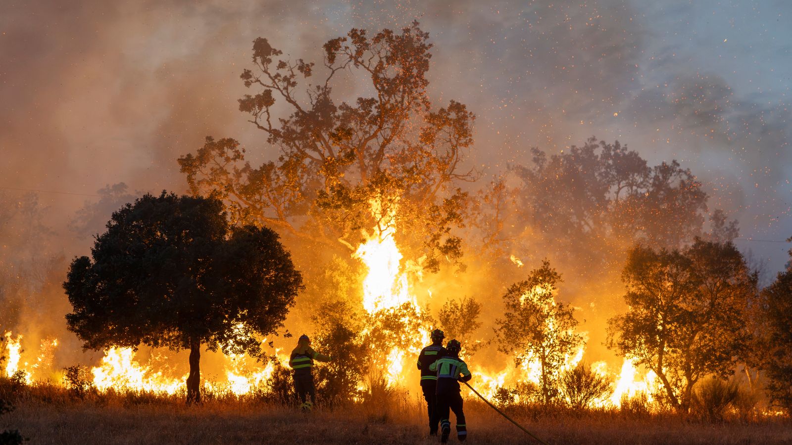 Un moment de la lluita contra el foc a Zamora, este dijous
