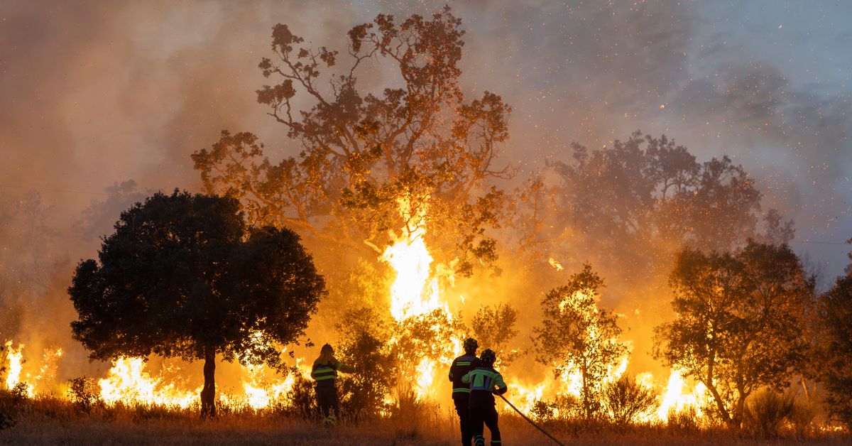 La climatologia complica l'extinció d'un incendi a Zamora amb 800 persones desallotjades en catorze localitats