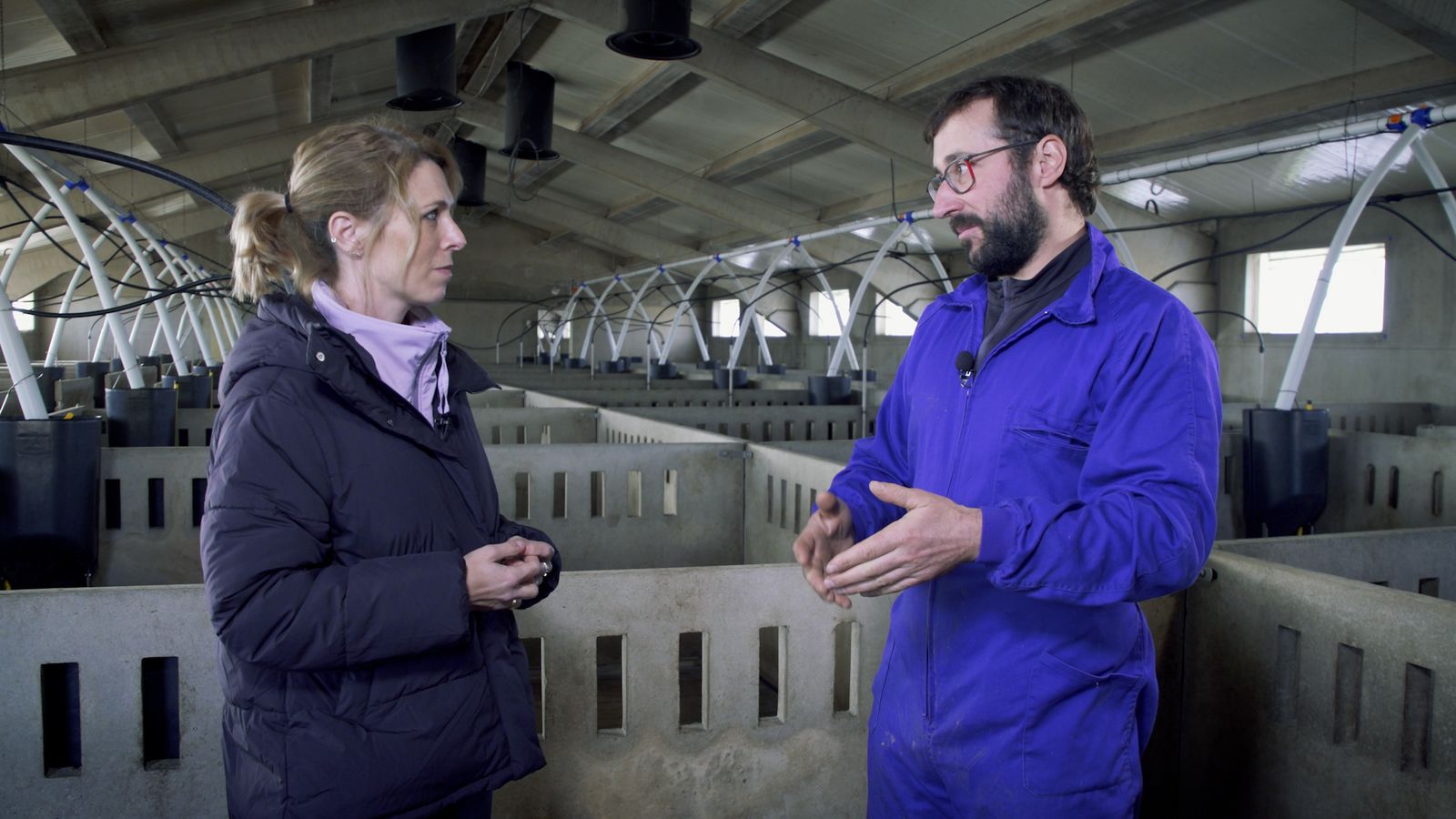 Actualment, a la Comunitat Valenciana, 900 explotacions porcines ja estan notant els efectes de la crisi porcina i aviària