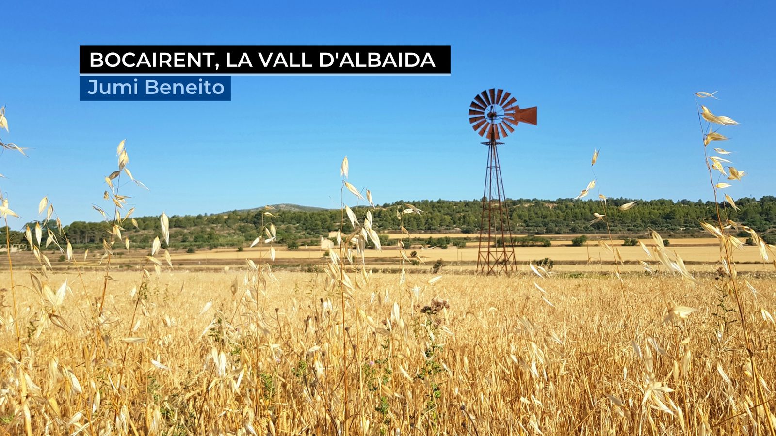 Resum de juliol de 2018