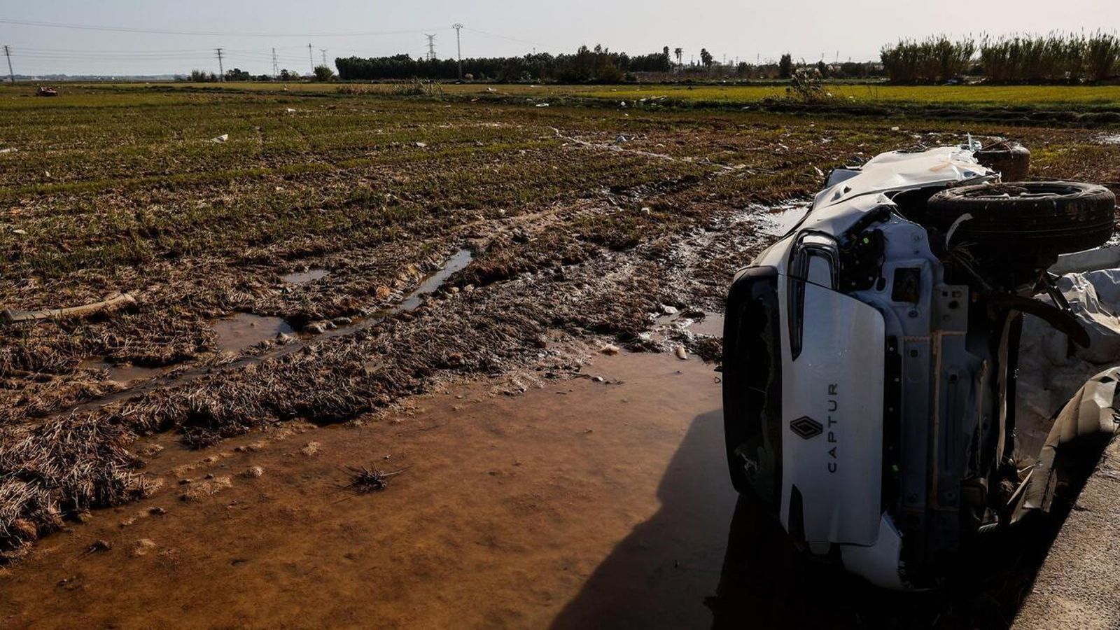 12.02.2025 | "Diari de reconstrucció de la dana": la situació crítica del camp