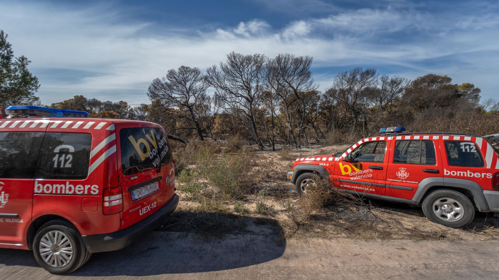 Imatge de vehicles de bombers en la zona afectada per l'incendi registrat la setmana passada a la Devesa del Saler