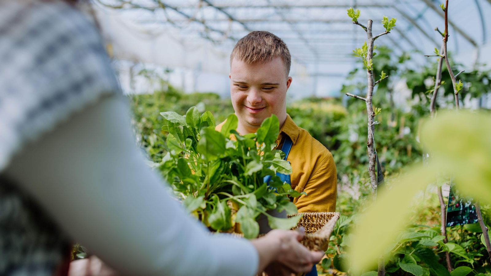 El nou medicament, encara en fase d'investigació, millora les capacitats comunicatives de les persones amb síndrome de Down que han participat en l'estudi