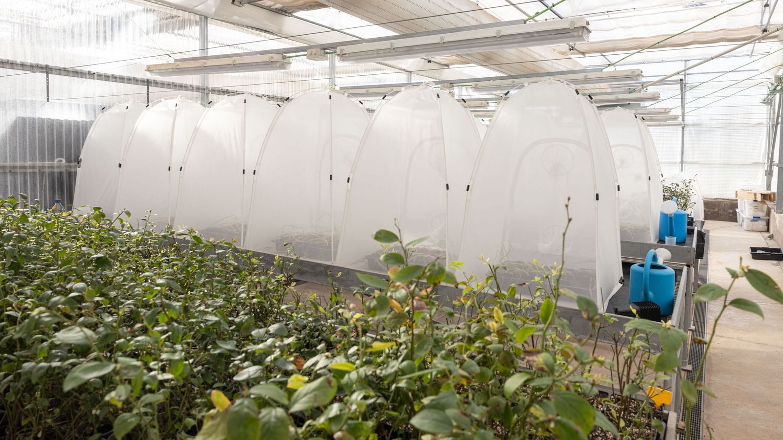 Alguns dels productes amb materials sostenibles en què treballa l'equip investigador de l'UJI