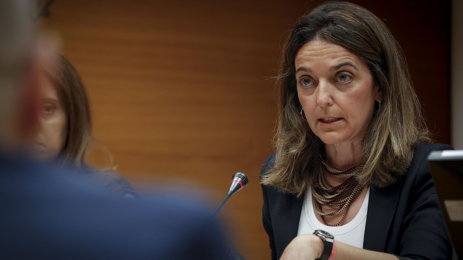 Nuria Martínez, este dimecres, a les Corts