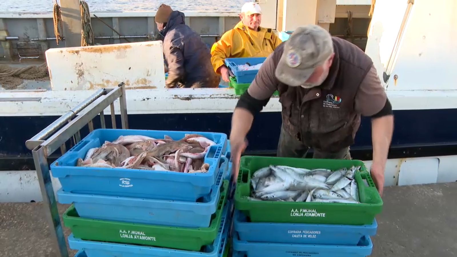 Un pescador organitza les caixes de peix al moll