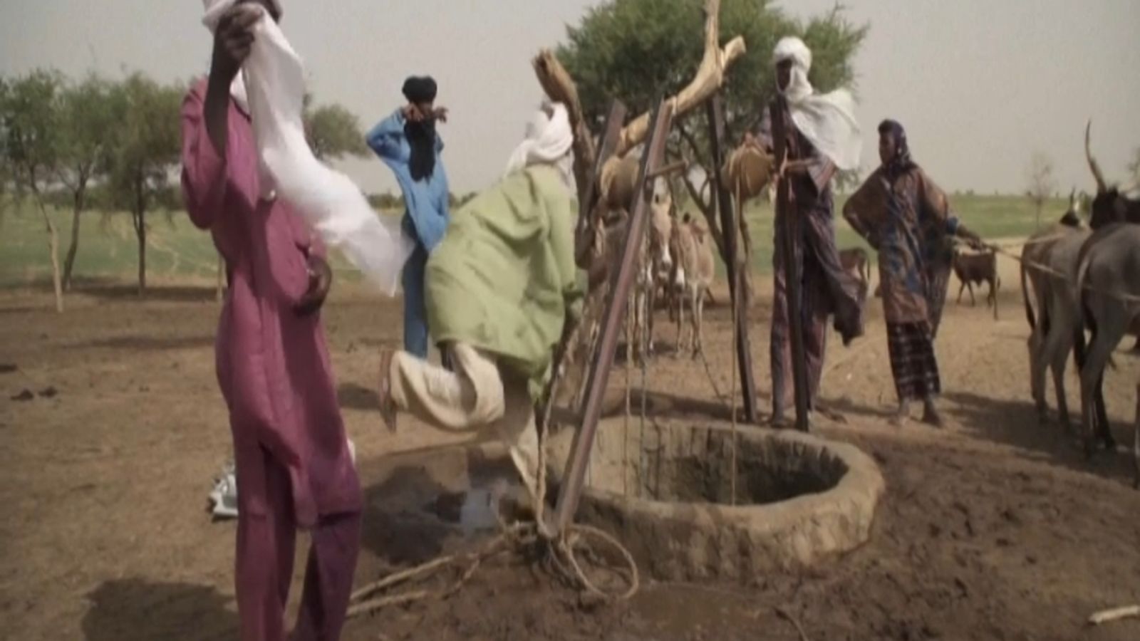 VÍDEO | Nacions Unides pronostica 200 milions de desplaçats climàtics per al 2050