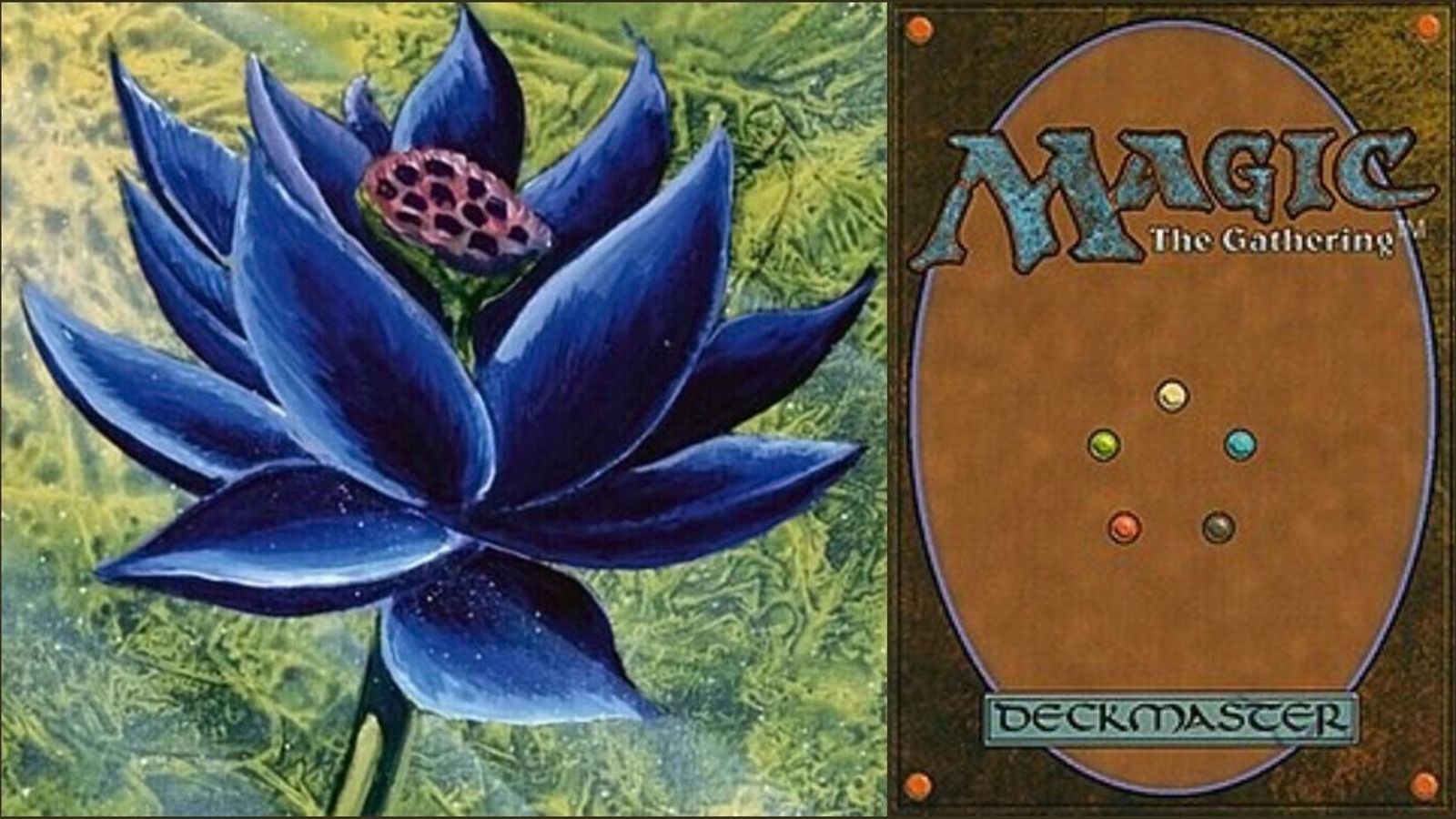 'Black lotus', una de les cartes més valuoses de Magic