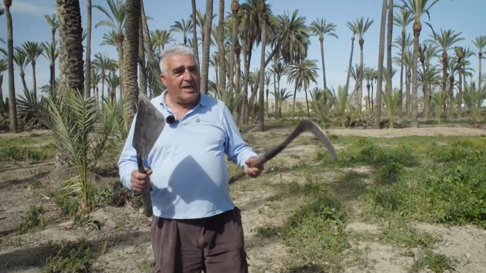 Les seues eines de treball