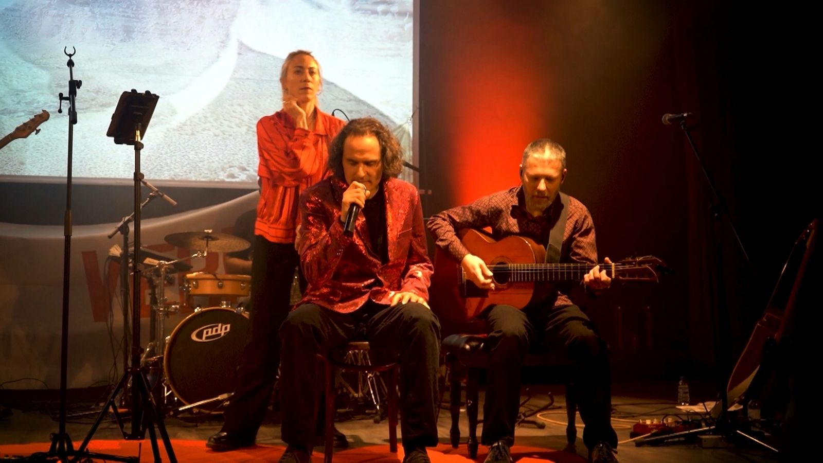 VerdCel en una actuació