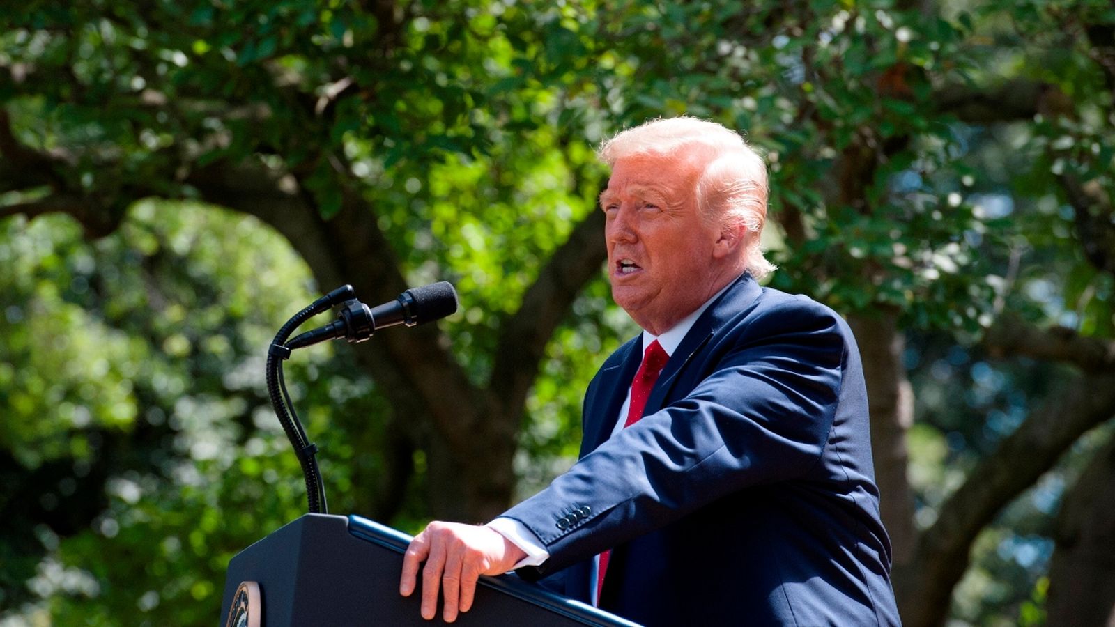 El president Trump a la Casa Blanca