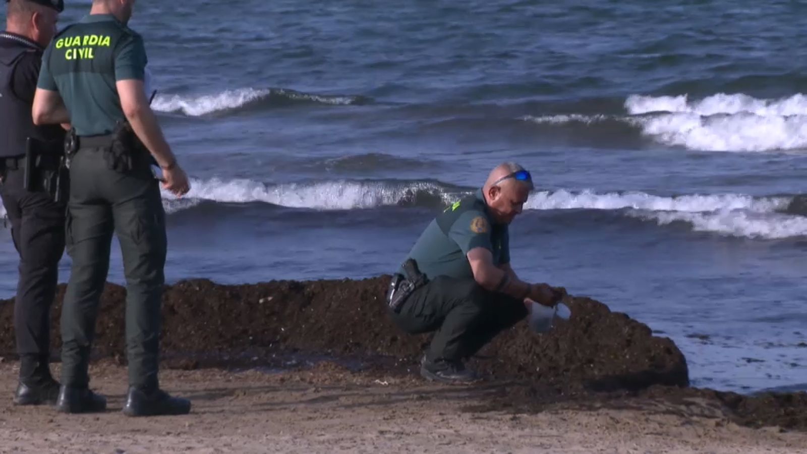 Algues a la platja del Cabanyal