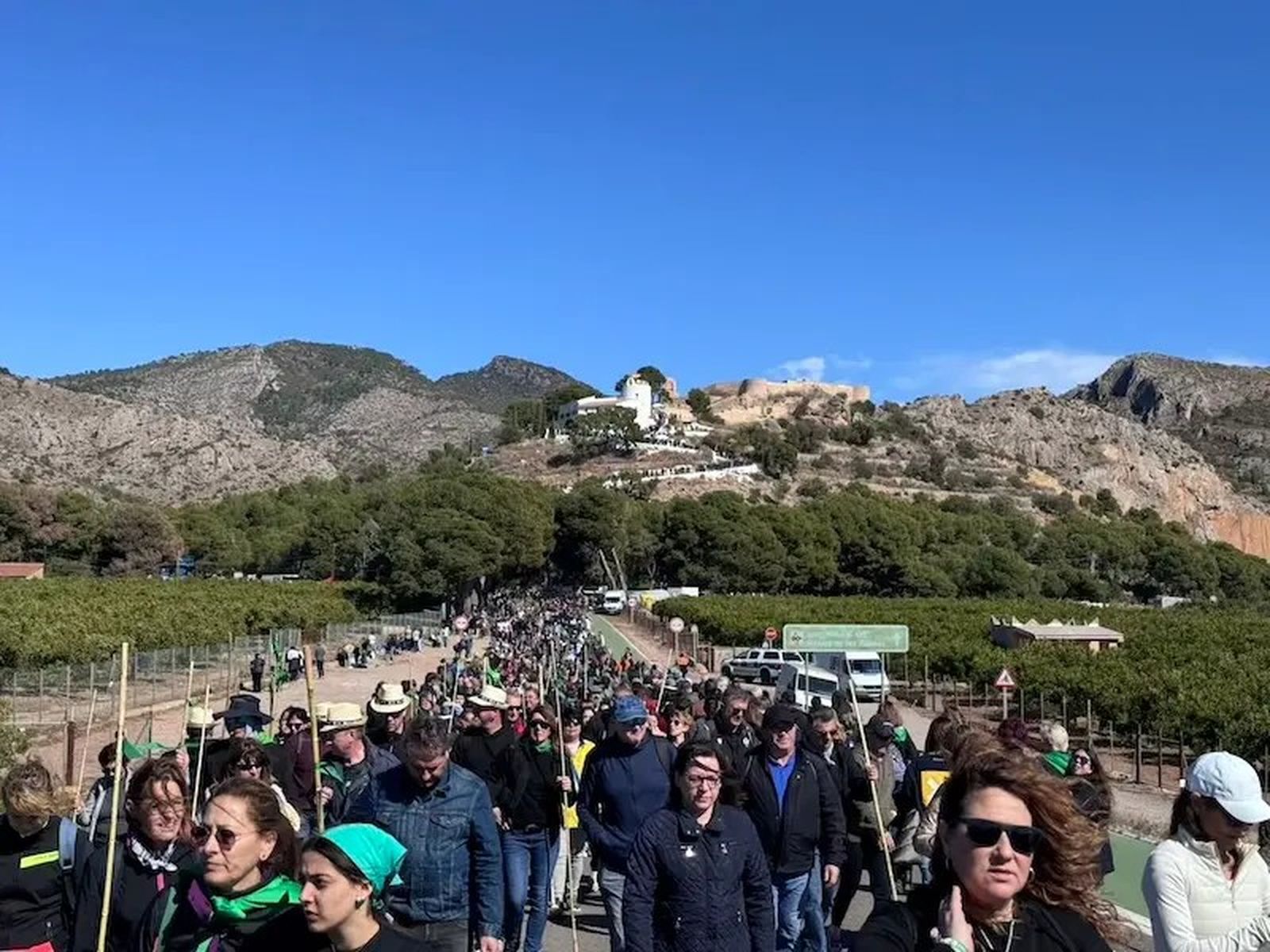 Romeria de les Canyes