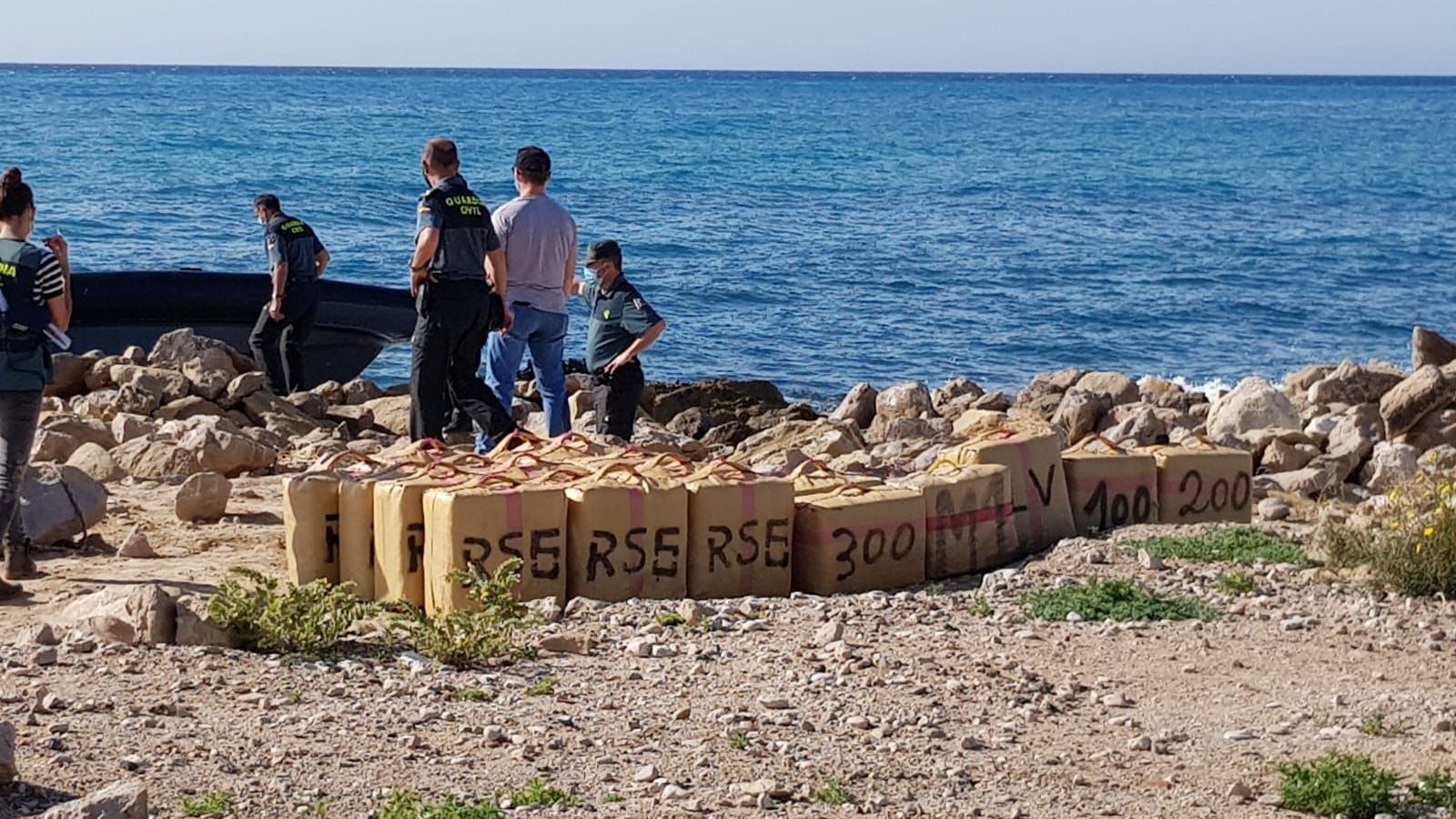 Narcollanxa a la platja de la Vila Joiosa