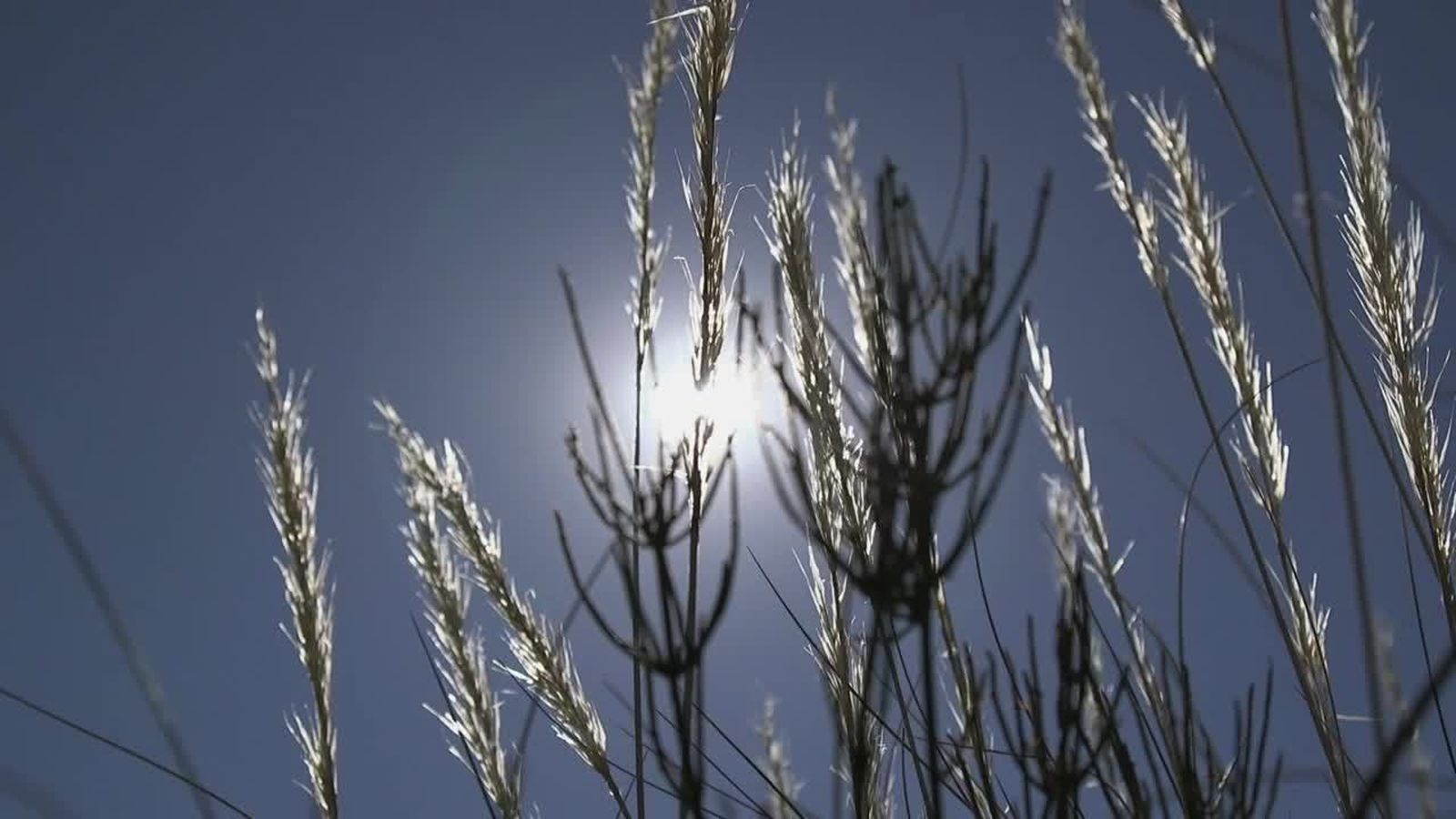 26.07.2019 | Orson West