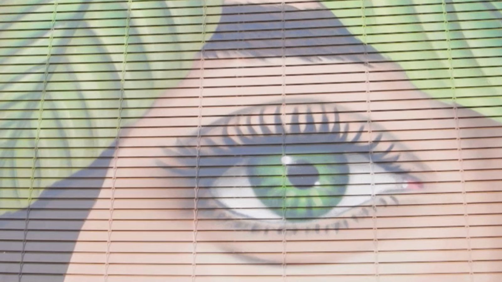 Art a peu de carrer en les persianes dels Poblets