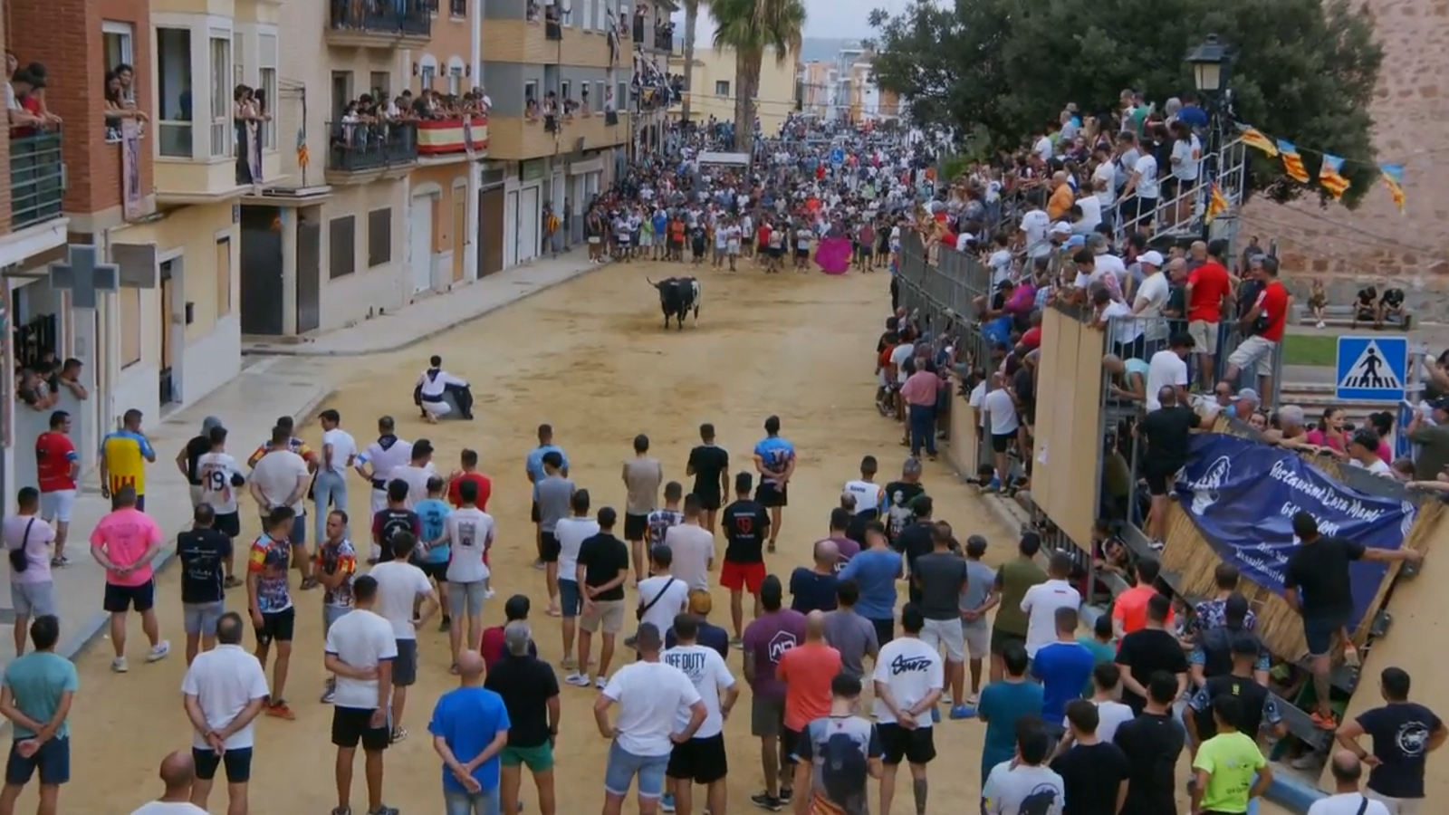 07.09.2025 | Bous al carrer Puçol