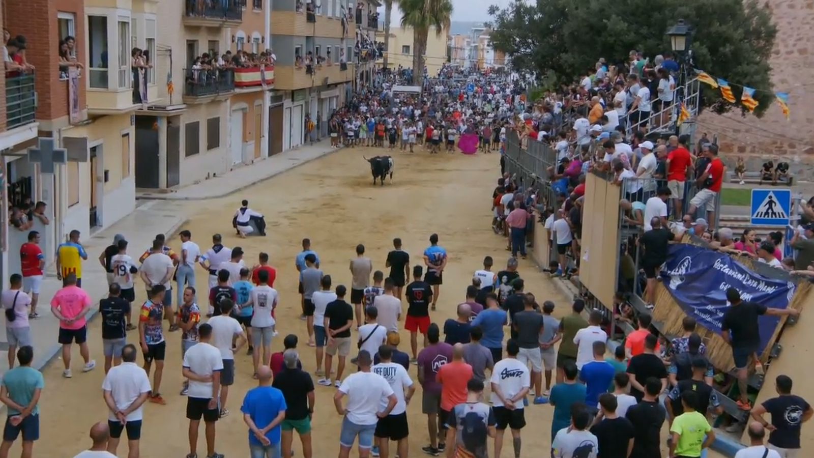 07.09.2025 | Bous al carrer Puçol