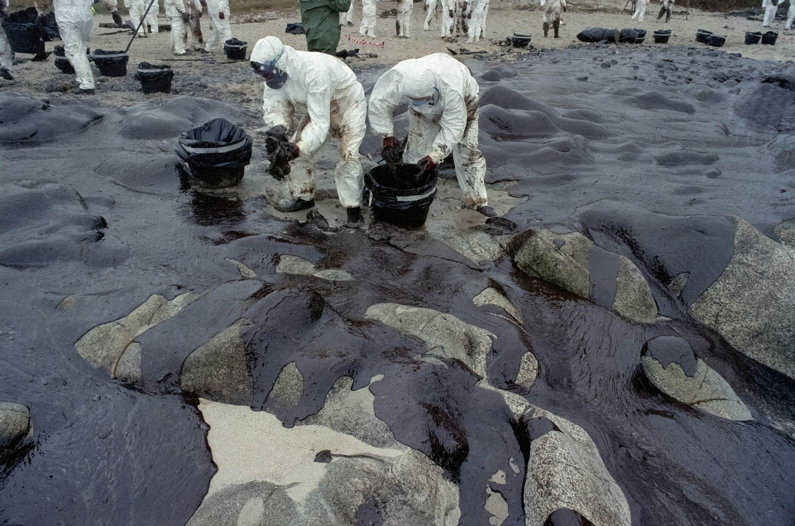 Voluntaris treballen a la costa gallega, en arxiu