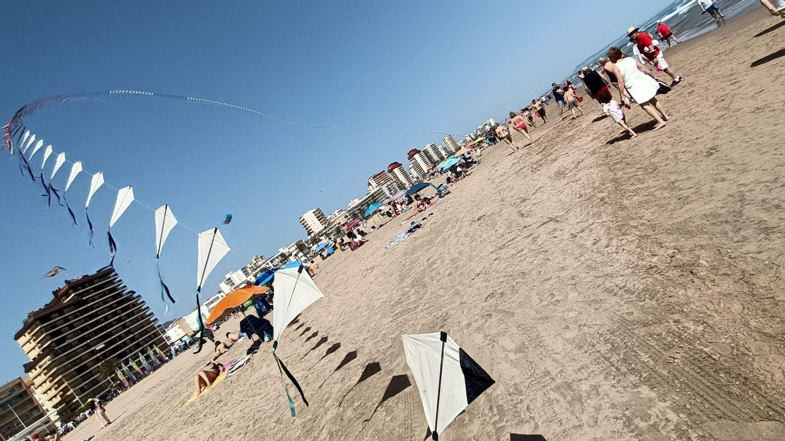 Catxerulos volant a la platja de Gandia (Safor)