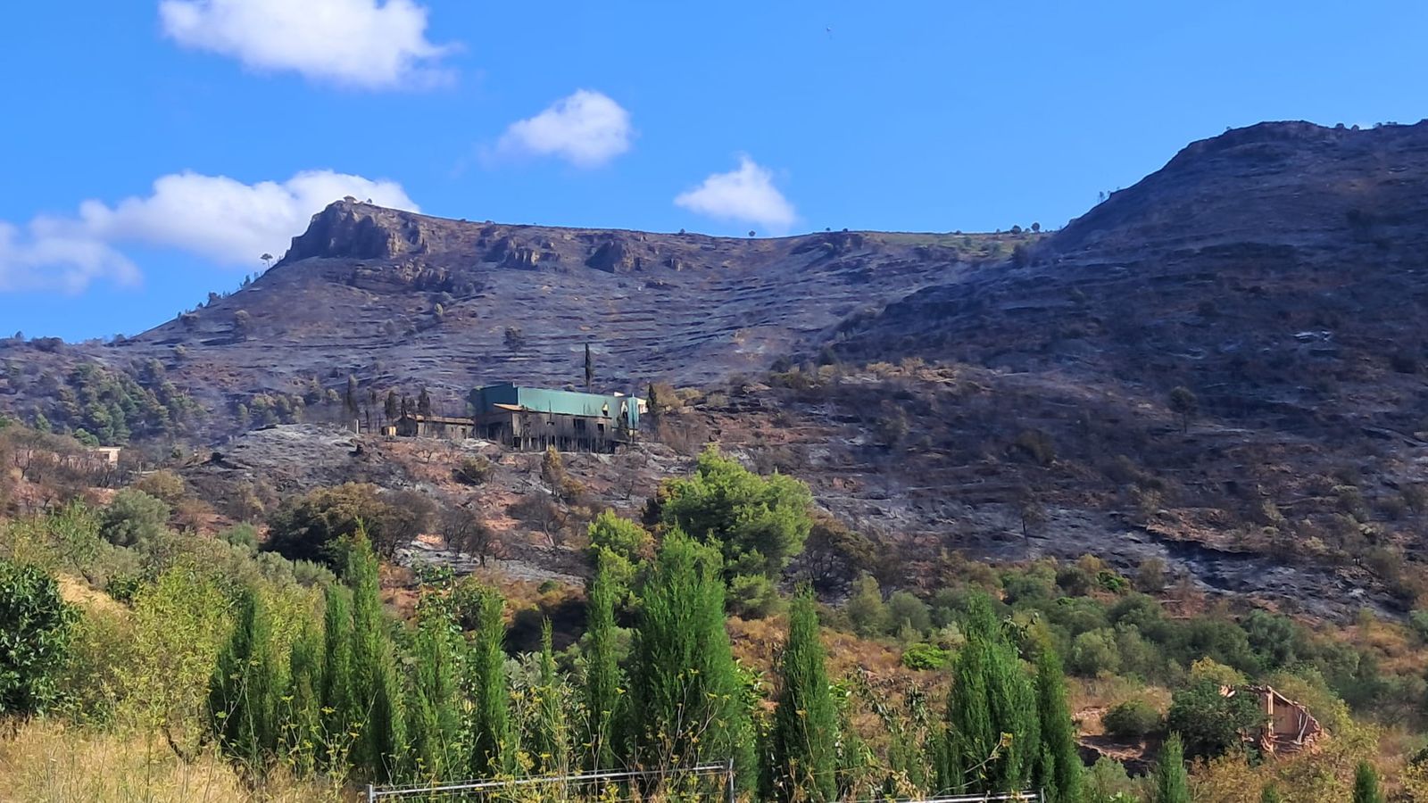 Actualitzacio incendi
