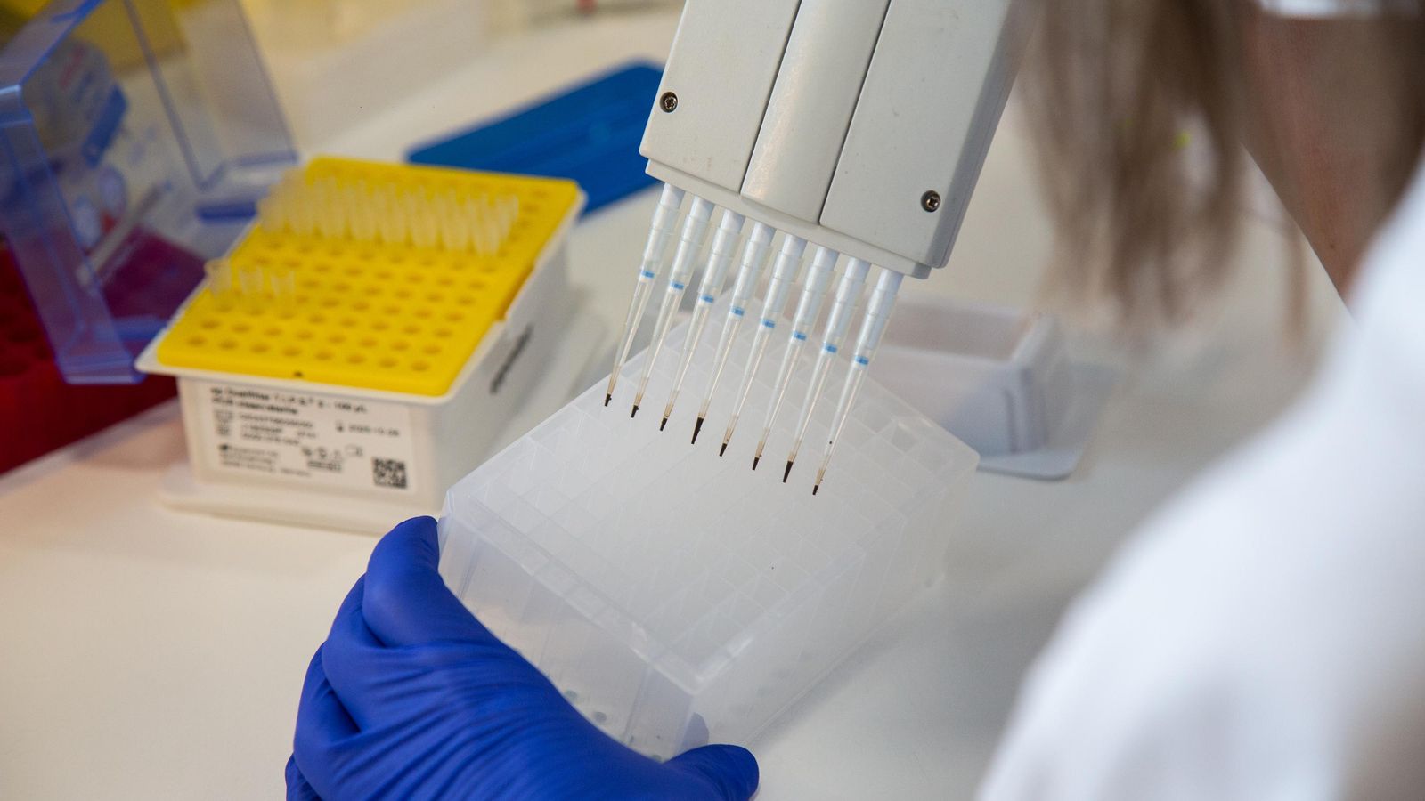 Una investigadora realitza la seqüenciació de les mostres de coronavirus