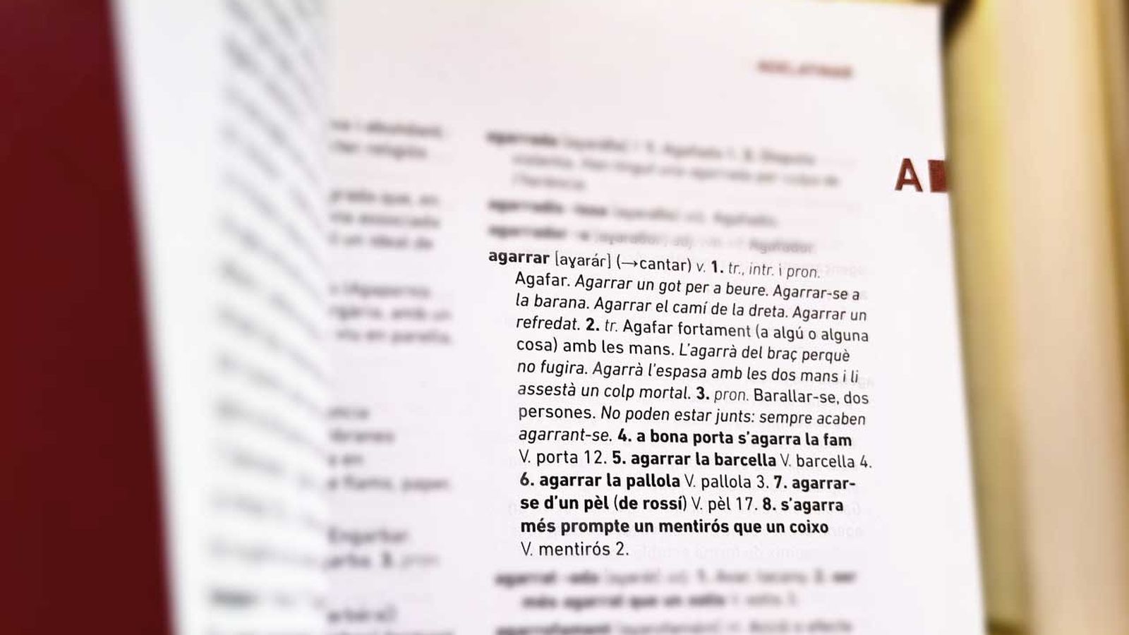 L'AVL es pronuncia sobre les propostes del Consell per a modificar els criteris lingüístics de l'administració
