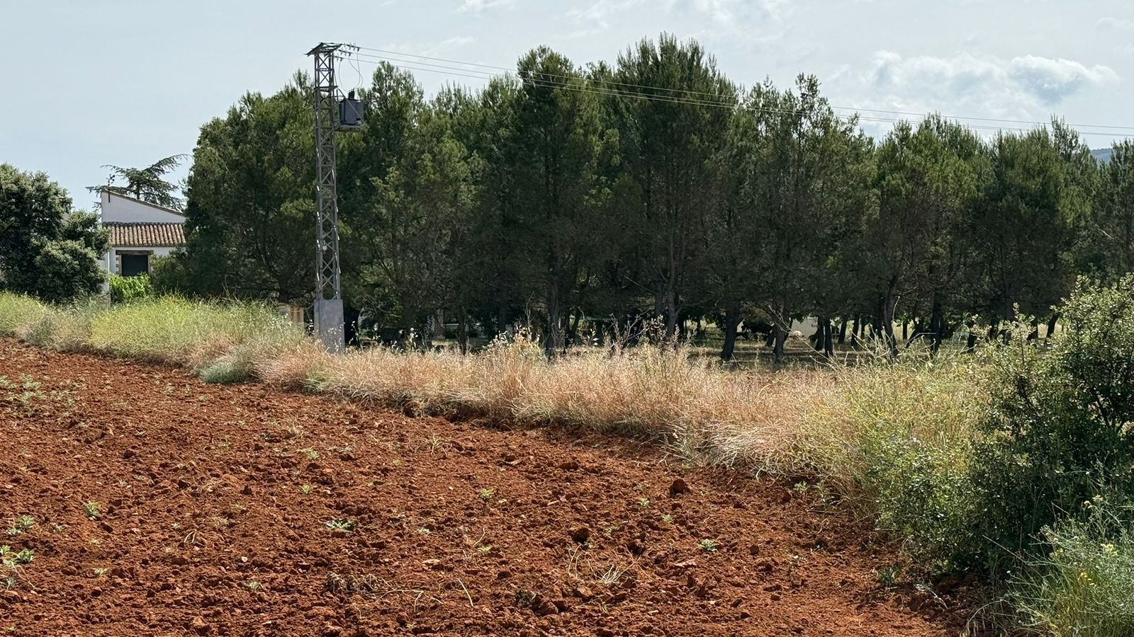 Caseta on s'ha originat l'incendi