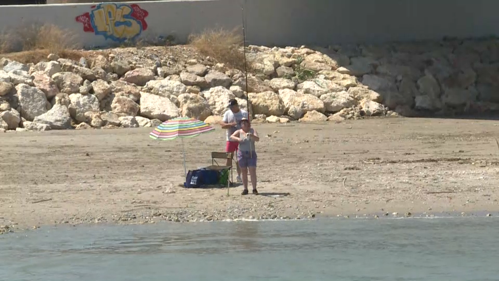 Reobrin al bany la platja dels Marenys de Rafalcaid de Gandia