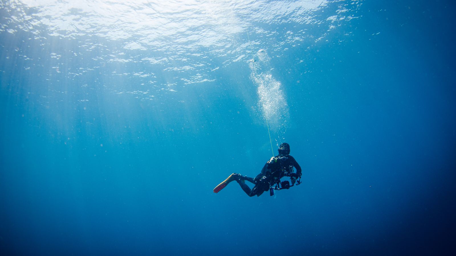 Una persona practica busseig, en una imatge d'arxiu