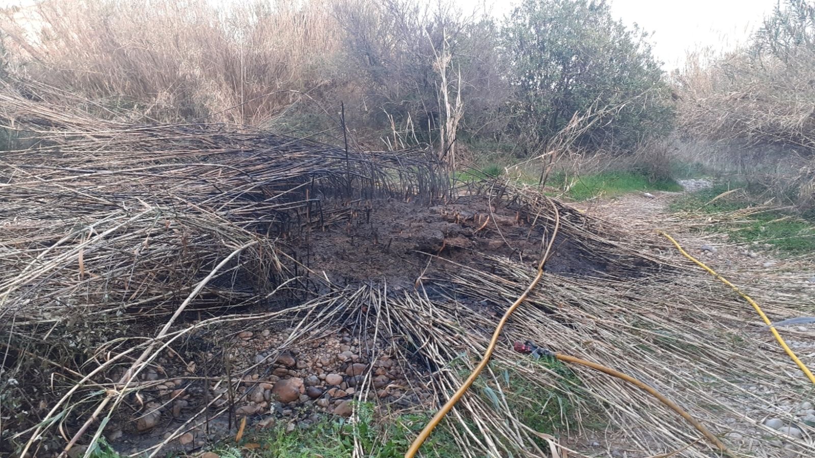 Els tres xicotets incendis detectats al Millars van cremar uns 40 metres quadrats de canyar