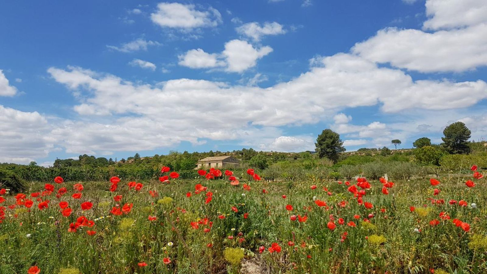 Bocairent