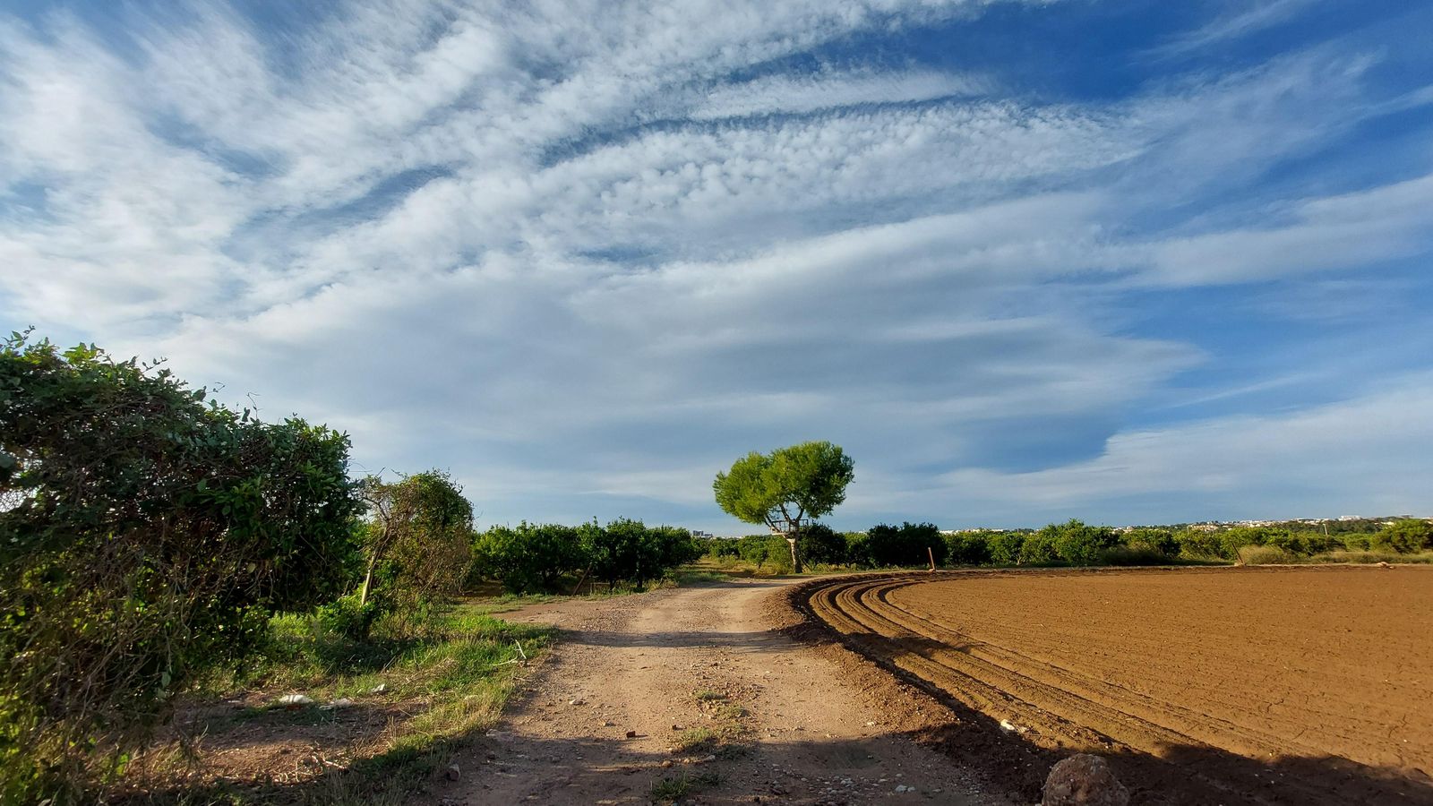 .MONTCADA, L'HORTA NORD