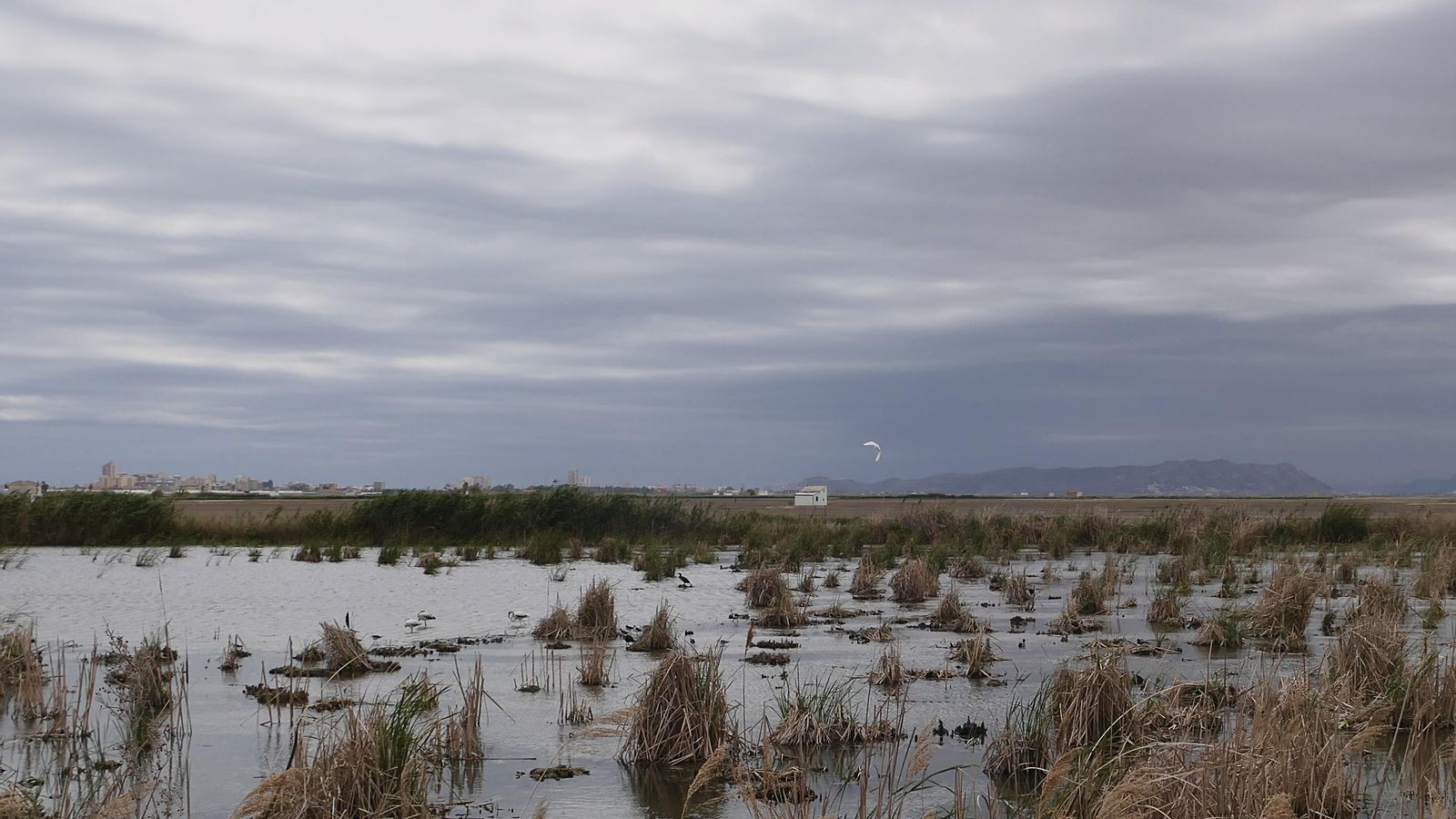 1 SUECA, LA RIBERA BAIXA,