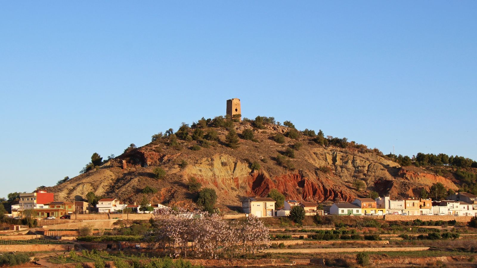 REAL, LA RIBERA ALTA
