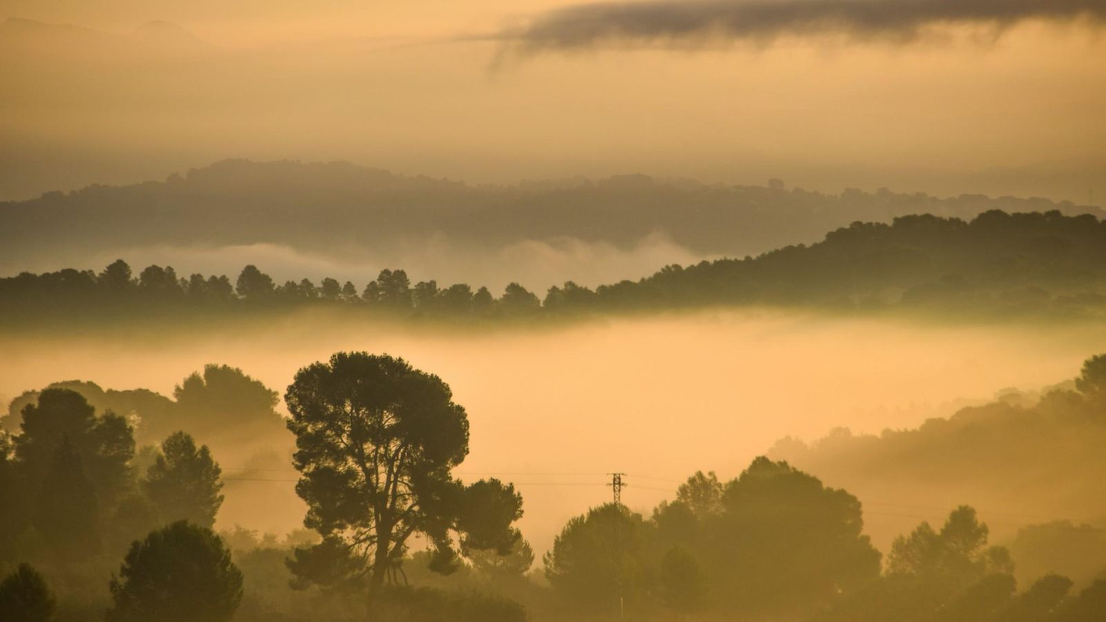L'Olleria, la Vall d'Albaida