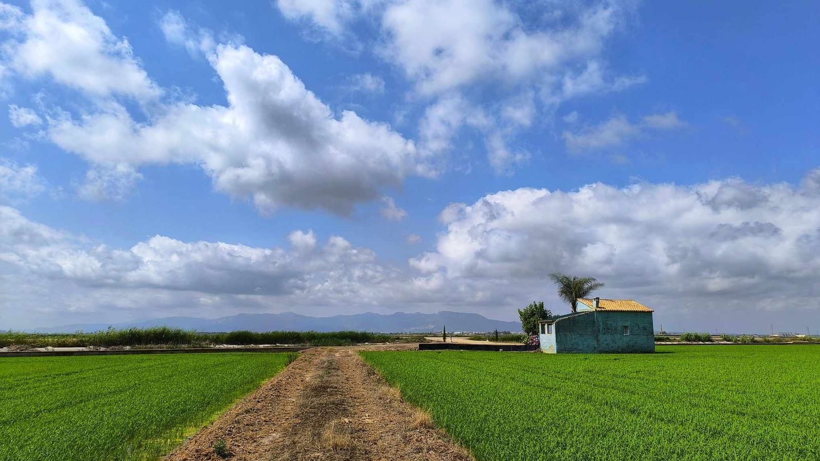 EL MARENY DE BARRAQUETES, LA RIBERA BAIXA
