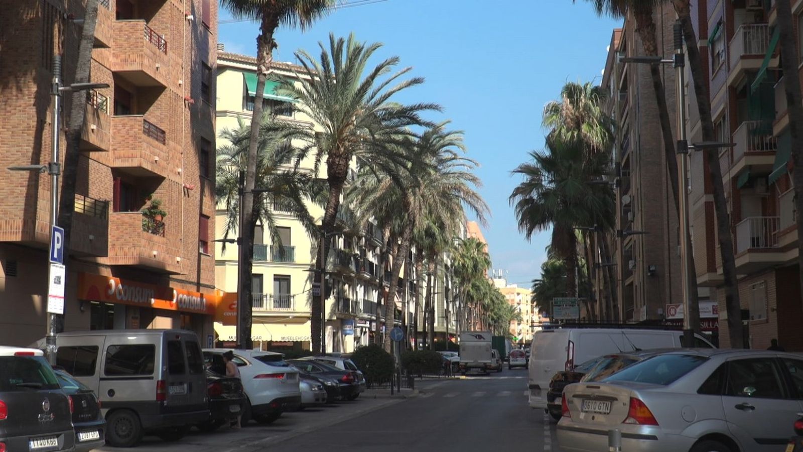 Palmeres dels carrers de Sant Valerià i de les Germanies
