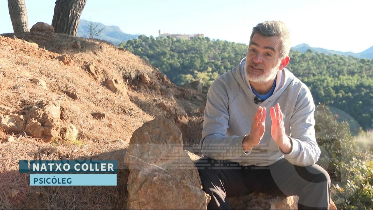 Els efectes sanadors de la teràpia del bosc en l’estat d’ànim