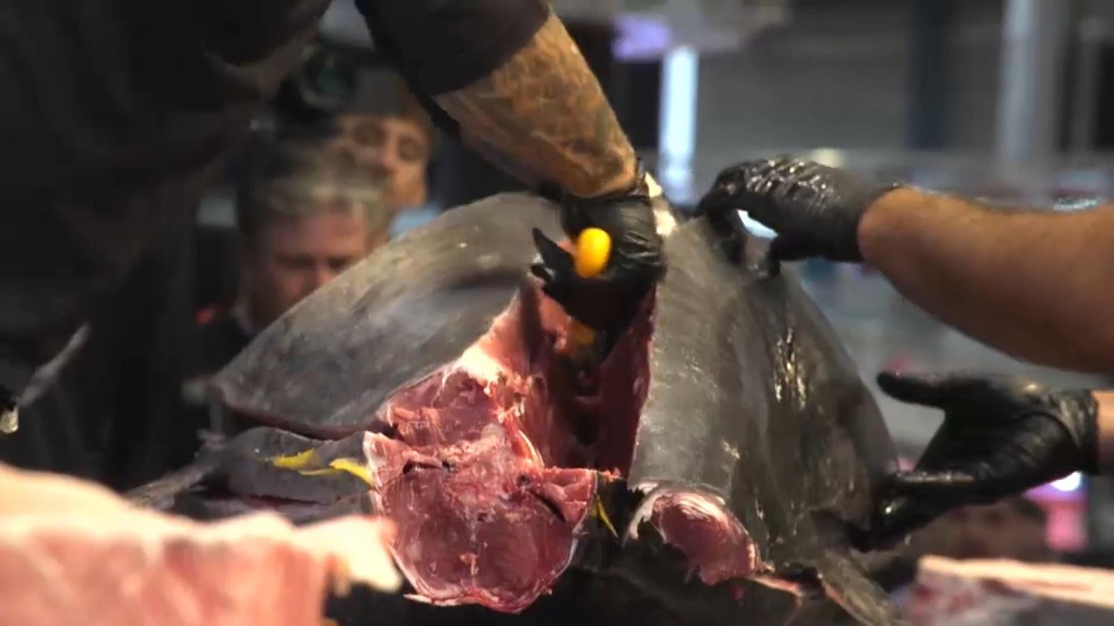 Ronqueig de la tonyina a Alacant Gastronòmica