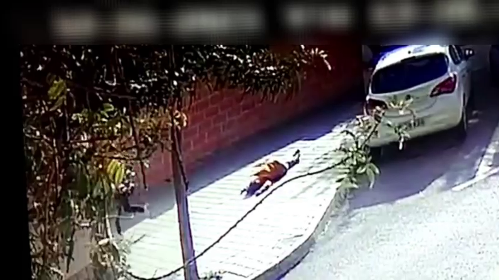 Els lladres furtaven a les dones majors d'un barri d'Alacant amb extrema violència