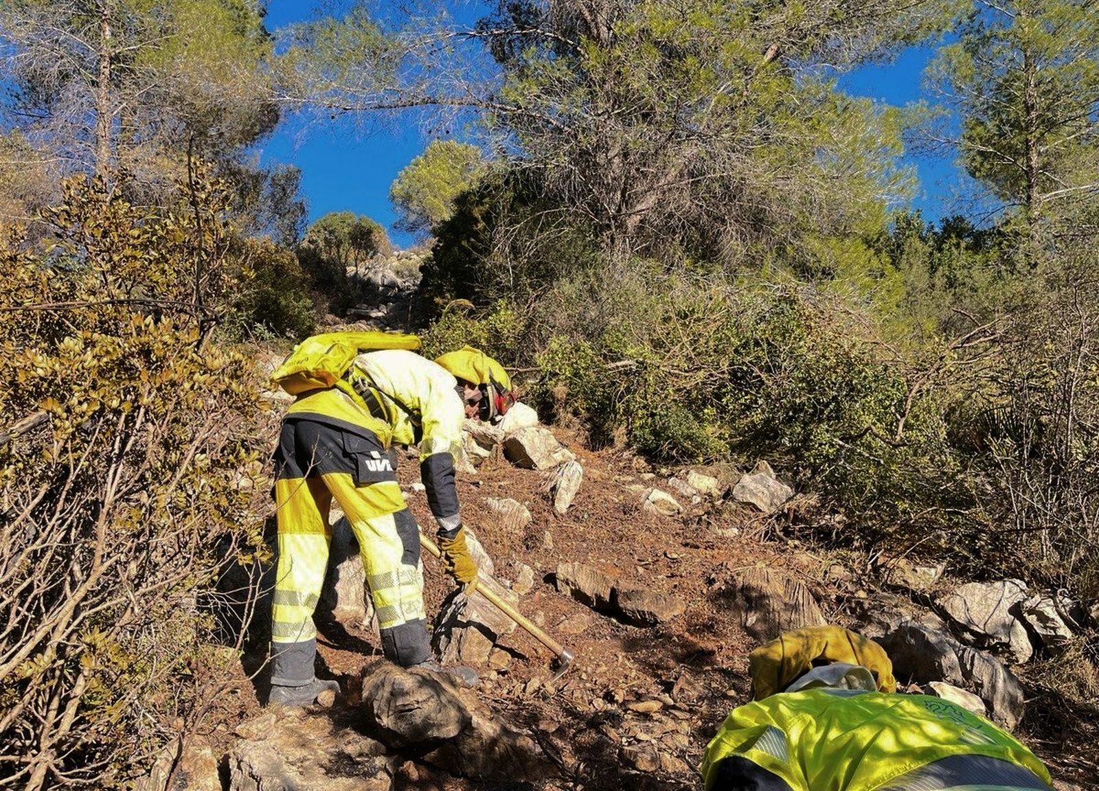 Treball de les brigades forestals l'endemà que l'incendi de Motitxelvo s'haja donat per estabilitzat