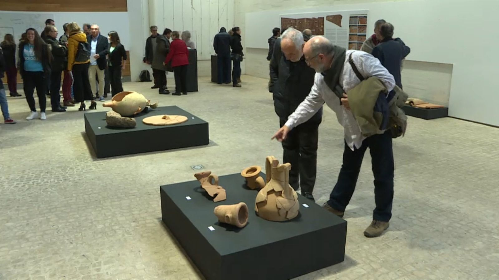 La vil·la romana de Vinamargo, al Museu de Belles Arts de Castelló