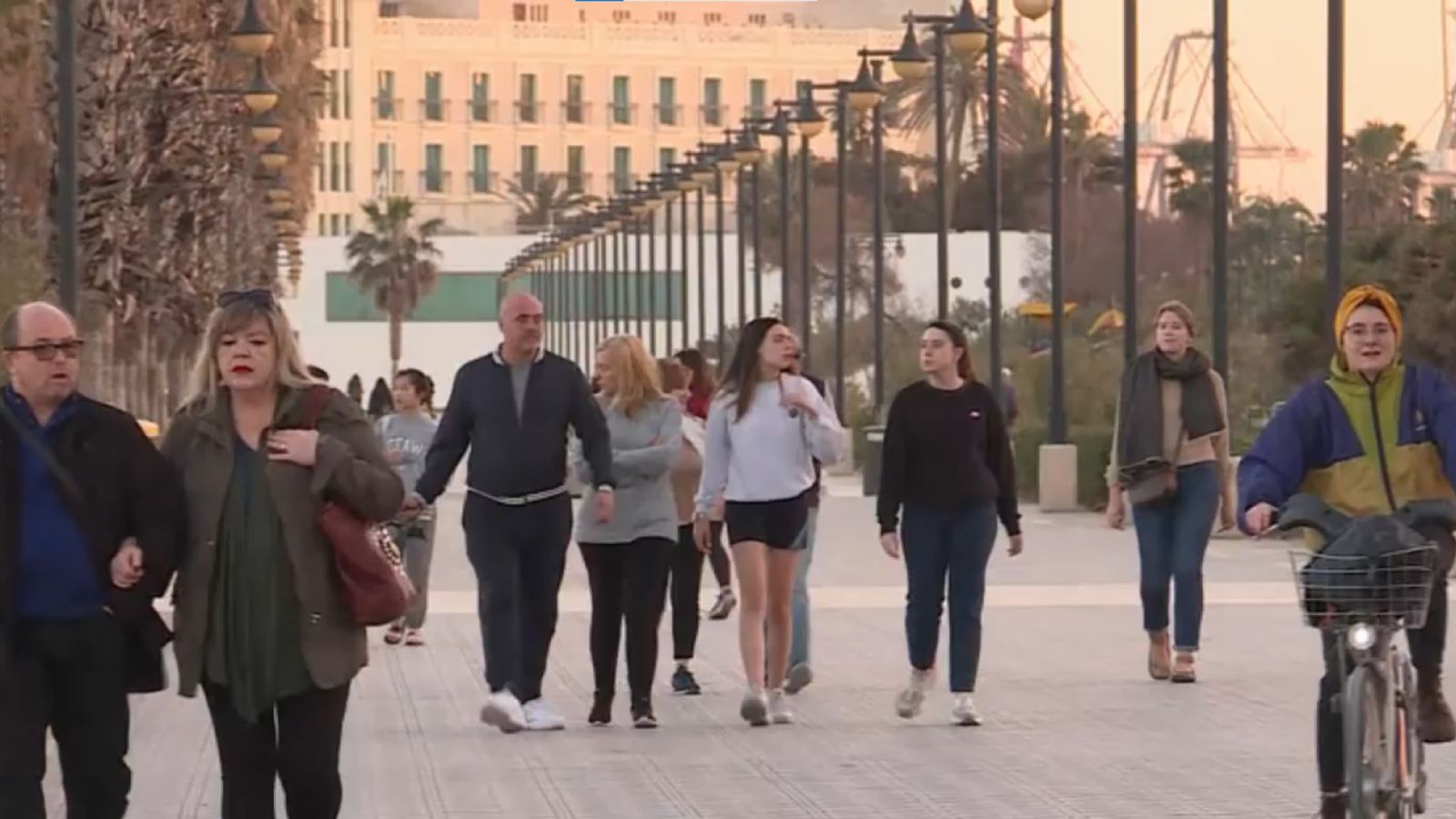 shutterstock 1309799671 [Recuperado] 01