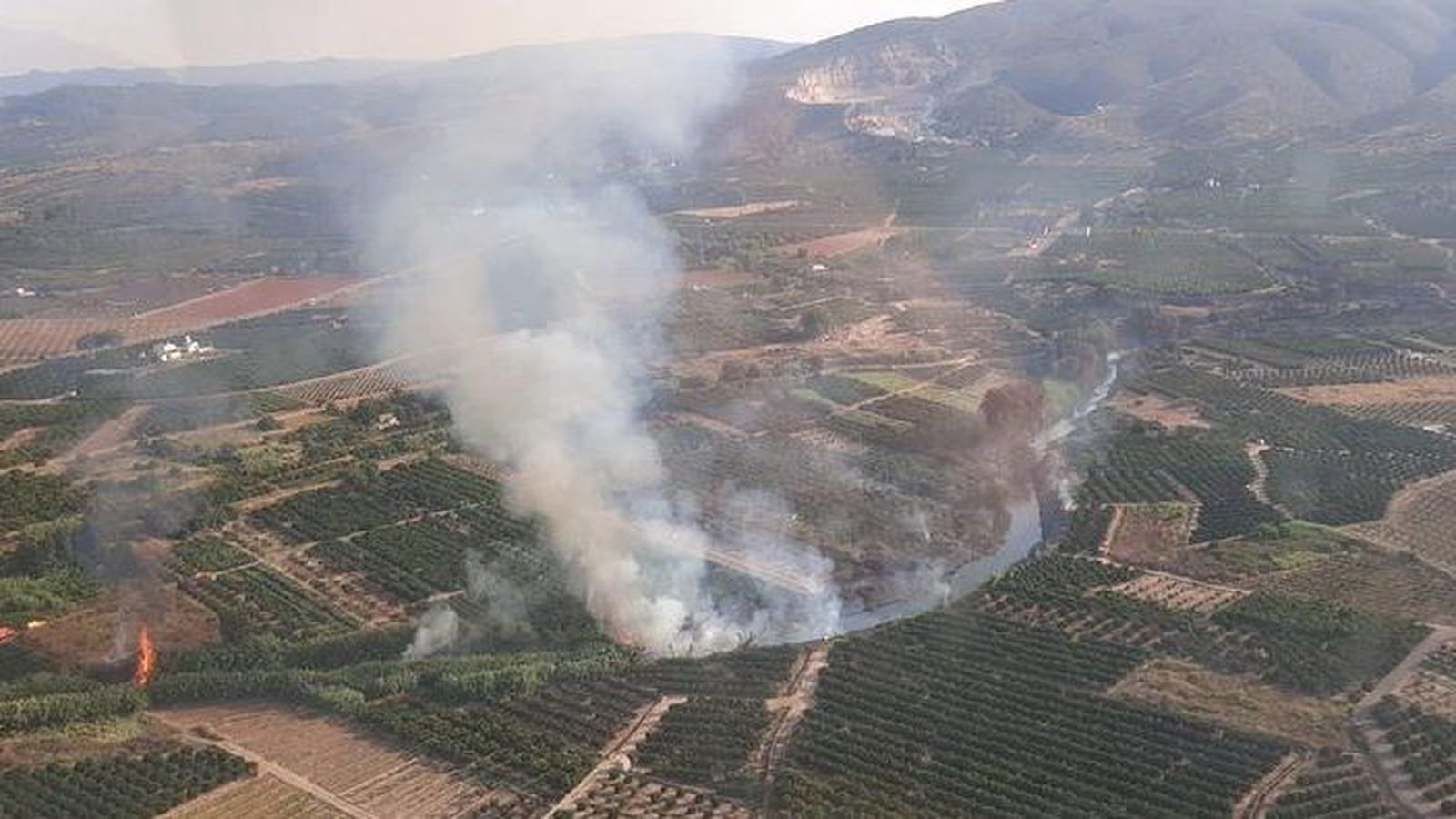 Incendi declarat este diumenge a Antella, que ha cremat més d'una desena d'hectàrees de canyar i camps perduts pròxims al llit del Xúquer