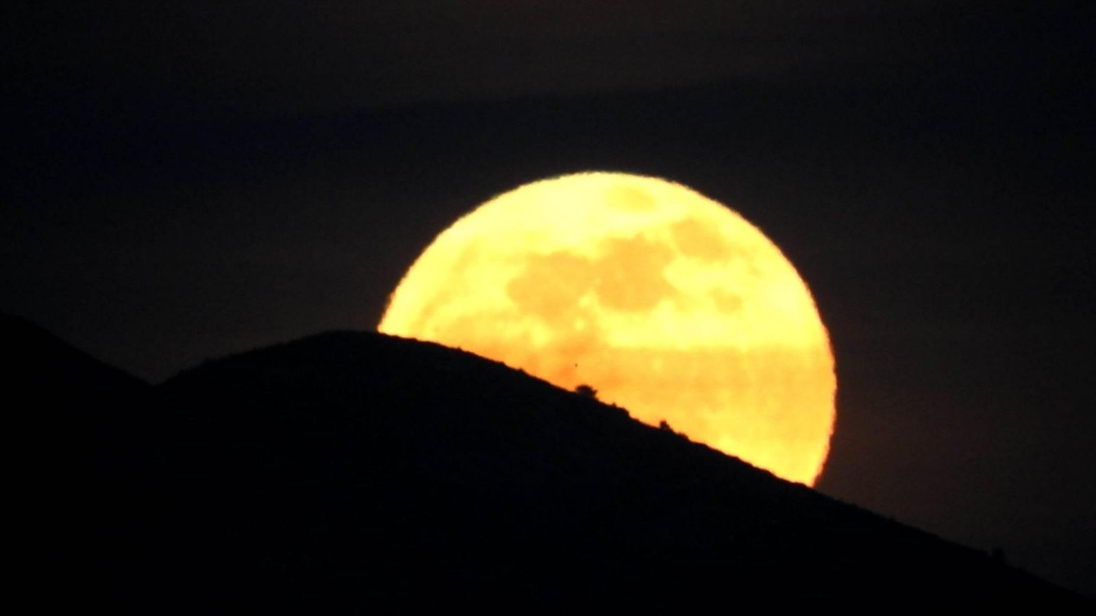 ALZIRA, LA RIBERA ALTA