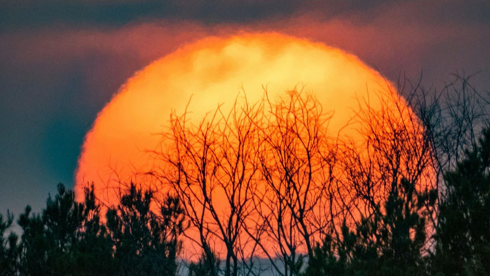 Fontanars dels Alforins, la Vall d'Albaida
