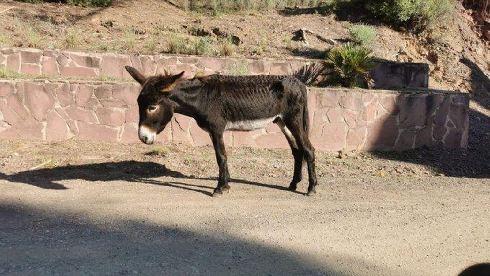 Un dels rucs al Parc Natural del Desert de les Palmes
